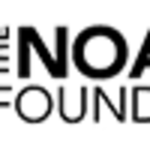 The Noakes Foundation image
